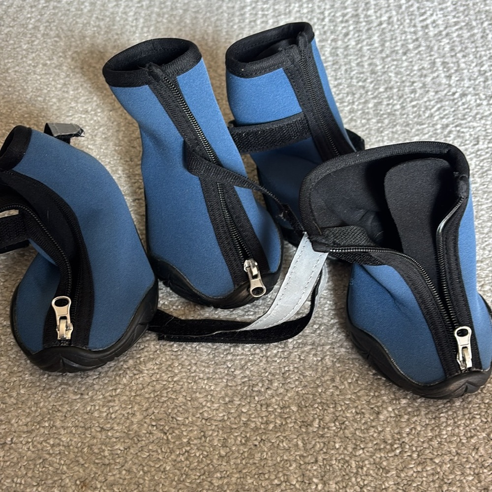 Zack & Zoey Black and Blue Neoprene Boots - Picture 3 of 5